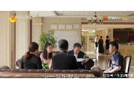 吐鲁番吐鲁番的要账公司在催收过程中的策略和技巧有哪些？